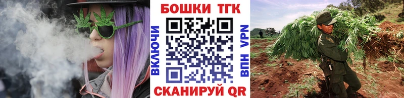 APVP Инта