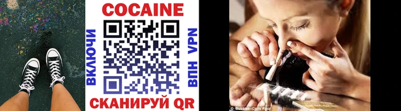COCAIN FishScale  где купить наркотик  Инта 